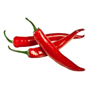 Fresh Red Chili Spicy and vibrant fresh red chilies.